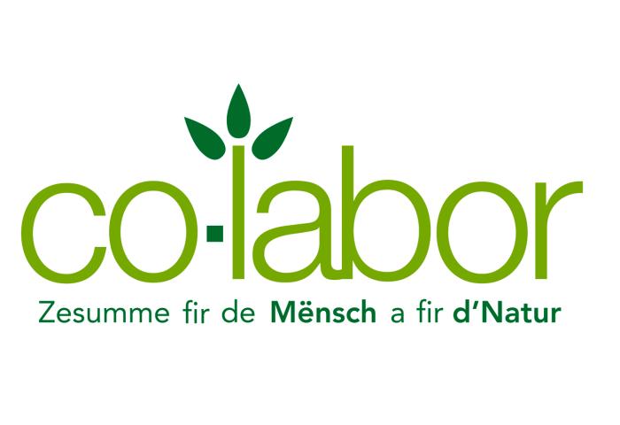 Portrait de dirigeant réalisé au Luxembourg par Eric Devillet, photographe corporate, spécialisé dans la photographie de dirigeants et de comités d'administration.direction.